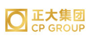 永春正大集团